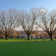 Illustration for article titled Pics from the Curbside: 2018-02-04 to Marpole at Dusk and Night